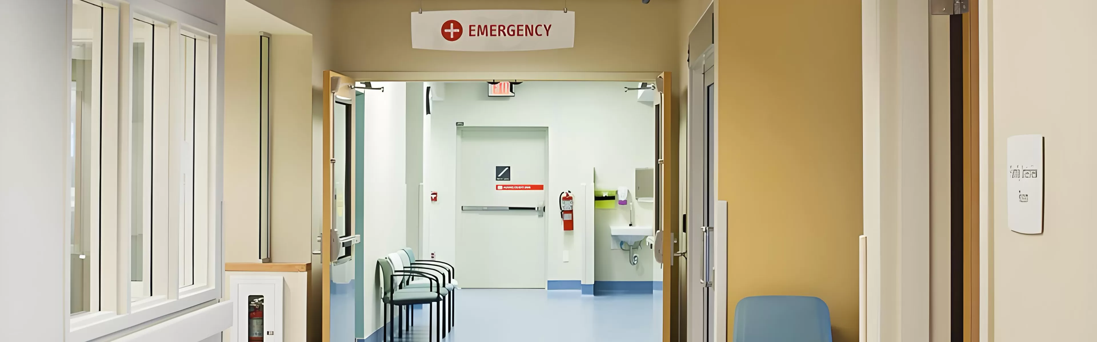 Medical and Healthcare